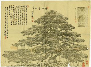 [(讃西)植田霊松之図(植田管公廟松樹)] -諸国社寺境内名木図版集-